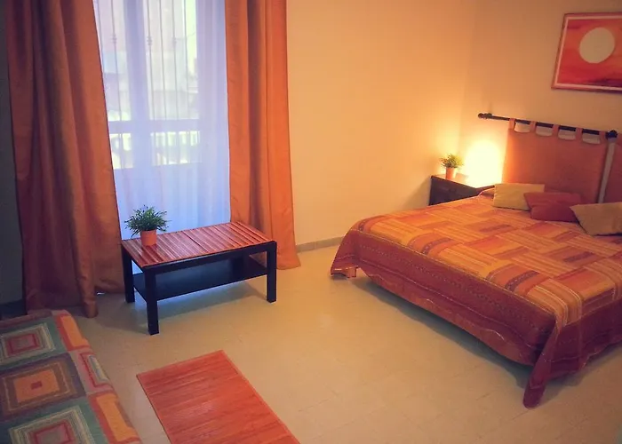 Sunflower Nocleg ze śniadaniem 3*